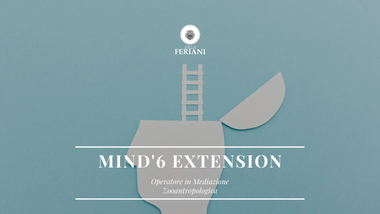 MIND'S EXTENSION